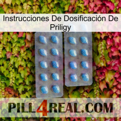 Instrucciones De Dosificación De Priligy viagra4